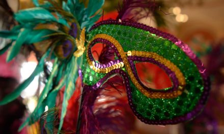 9 dicas de sobrevivência para curtir o carnaval